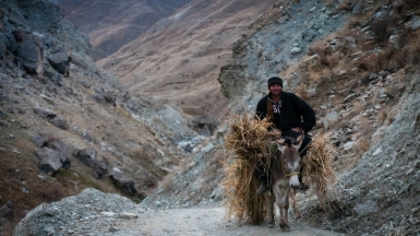 Фото: Joel Heard on Unsplash