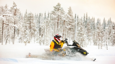 Фото: depositphotos.com