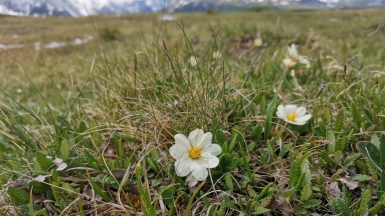 Фото наших Странников