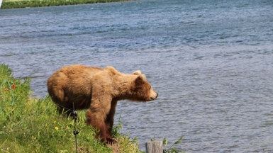 Фото нашего Странника Николая Савичева