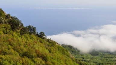 Ближе к небу! Фото: Виктория Васильченко