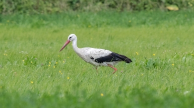 Фото нашего гида Михаила Верёвченко