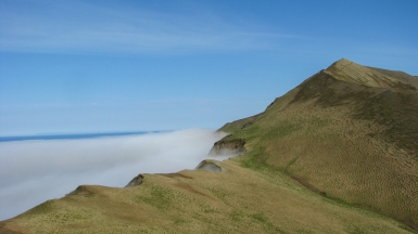 Фото: SuricataJ, wikimedia.org