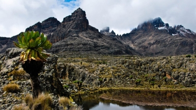 Фото: chris.murphy, visualhunt.com