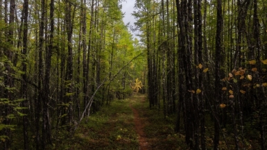 Фото нашего гида Михаила Верёвченко