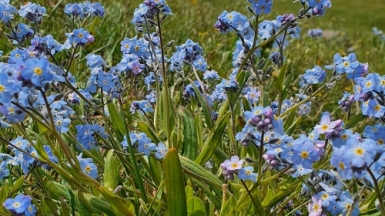 Из архива Клуба