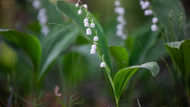 Фото нашего гида Михаила Верёвченко