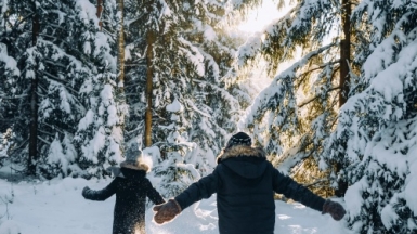 Фото: Anita Austvika on unsplash