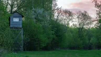 Фото нашего гида Михаила Верёвченко