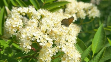 Фото нашего Странника Алексея Фёдорова