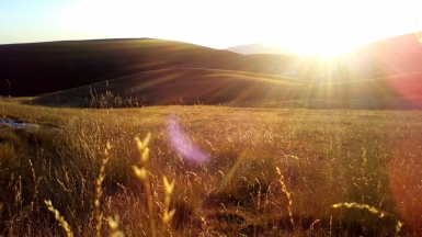 Фото нашего гида Елены Кузура