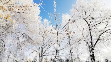 Фото: Viktor Ozolin, unsplash.com