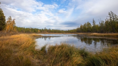 Фото нашего гида Михаила Верёвченко