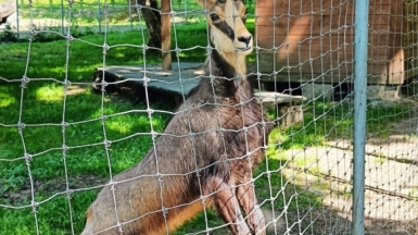 Фото нашего гида Сергея Кузура