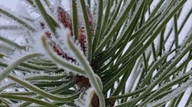 Фото наших Странников