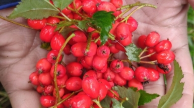 Фото нашего гида Евгении Скопиной