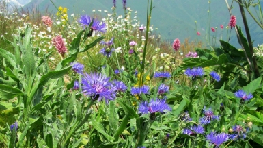 Фото нашего гида Ирины Пряничниковой.