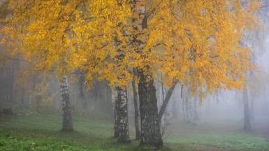 Фото нашего гида Михаила Верёвченко