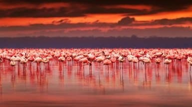 Фото: depositphotos.com