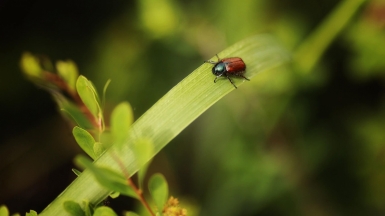 Фото нашей Странницы Светланы Соколовой