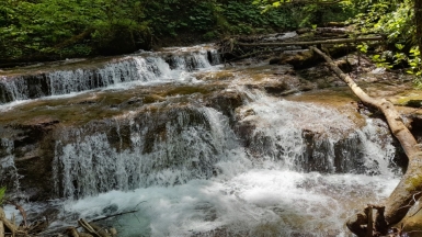 Фото нашего гида Елены Кузура