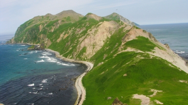 Фото: SuricataJ, wikimedia.org