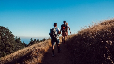 Фото: Lital Levy, unsplash.com