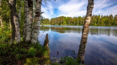Фото нашего гида Михаила Верёвченко