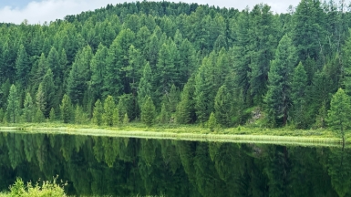 Фото нашей Странницы Ирины Гулиной