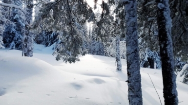 Фото нашего гида Дмитрия Могиленских