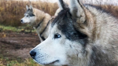 Фото нашего гида Ирины Пряничниковой