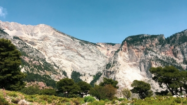 Фото: Bear Lissimo, unsplash.com