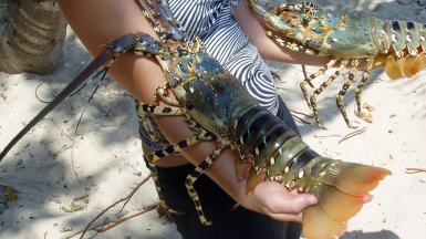 Фото: Barni, visualhunt.com