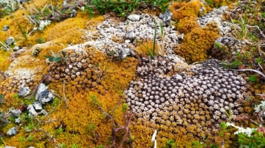 Фото наших Странников