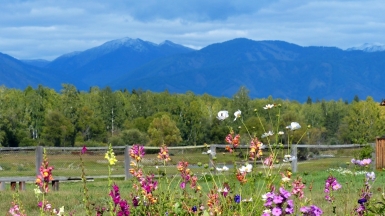 Фото нашего Странника Бориса Полынкина