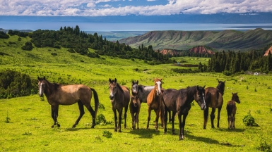 Фото: Михаил Самарин