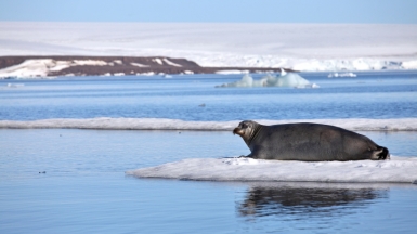 Фото из архива Клуба