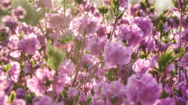 Фото Danila Danilenko для Unsplash.com