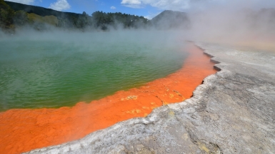 Фото: Holger Offermann, unsplash.com