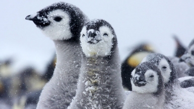 Фото из архива Клуба