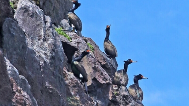 Фото из архива Клуба