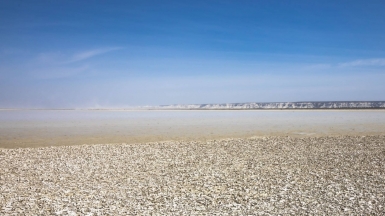 Фото нашего гида Михаила Верёвченко