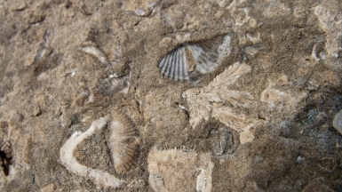 Фото: Conrad Kuiper, visualhunt.com