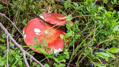 Фото наших Странников