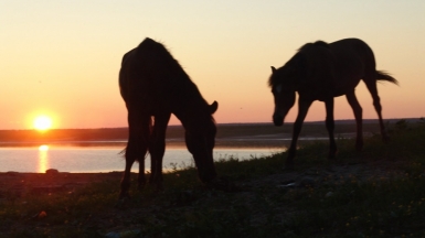 Нарьян-Мар. Фото: taras.rynza, visualhunt.com