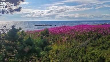 Фото наших Странников