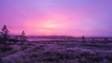 Фото нашего гида Михаила Верёвченко