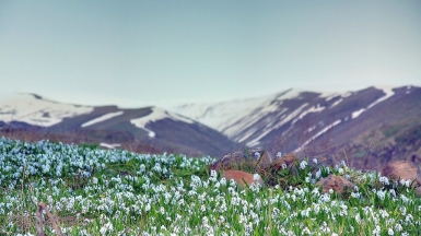 Фото: lasgalletas, visualhunt.com