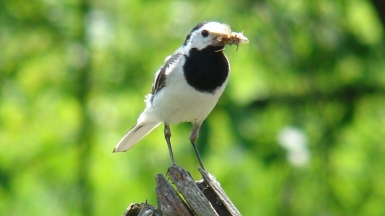 Фото: ayampolsky, visualhunt.com