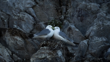 Фото из архива Клуба